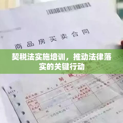 契税法实施培训，推动法律落实的关键行动