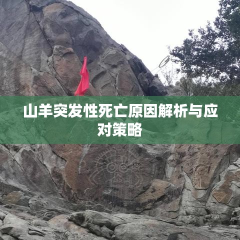 山羊突发性死亡原因解析与应对策略