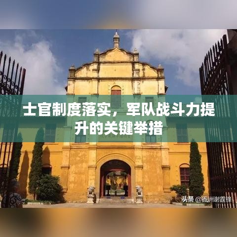 士官制度落实，军队战斗力提升的关键举措