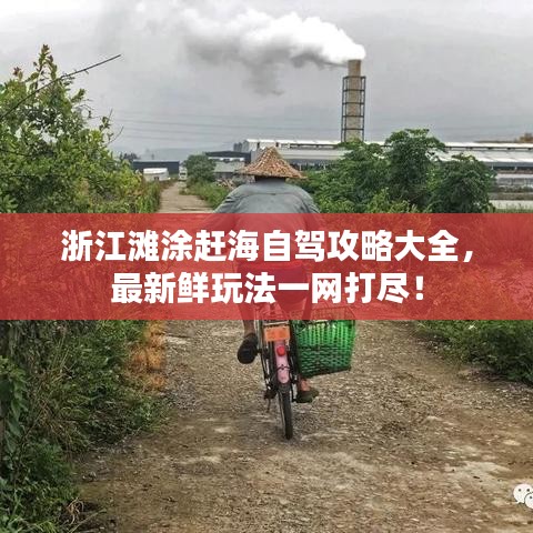 浙江滩涂赶海自驾攻略大全，最新鲜玩法一网打尽！