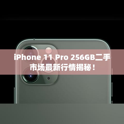 iPhone 11 Pro 256GB二手市场最新行情揭秘！