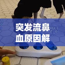 突发流鼻血原因解析，处理及预防措施全攻略