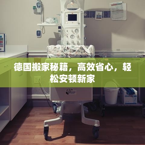 德国搬家秘籍，高效省心，轻松安顿新家