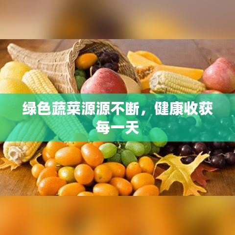 绿色蔬菜源源不断，健康收获每一天