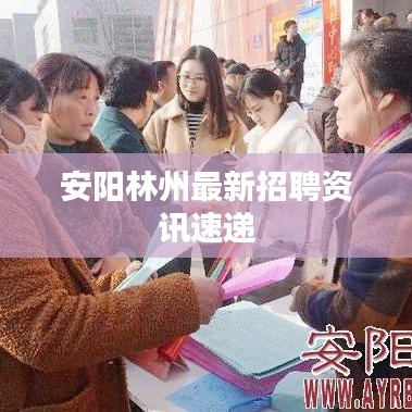 安阳林州最新招聘资讯速递