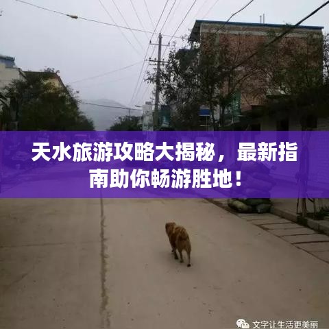 天水旅游攻略大揭秘，最新指南助你畅游胜地！