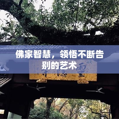 佛家智慧，领悟不断告别的艺术