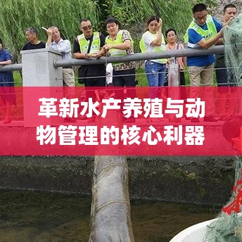 革新水产养殖与动物管理的核心利器，新型高效智能地笼