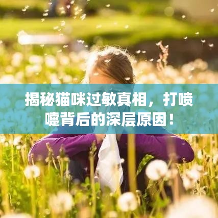 揭秘猫咪过敏真相，打喷嚏背后的深层原因！