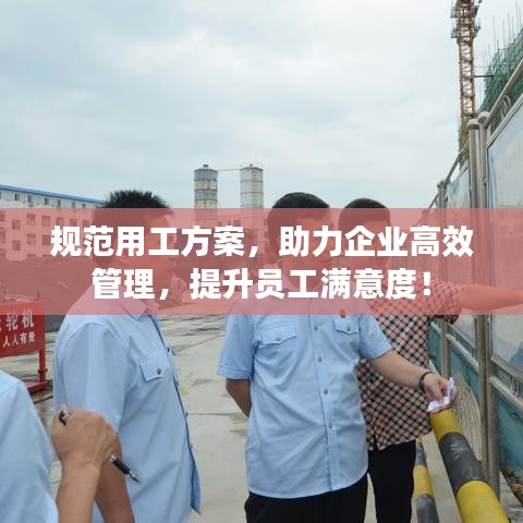 规范用工方案，助力企业高效管理，提升员工满意度！