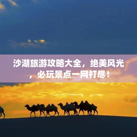 沙湖旅游攻略大全，绝美风光，必玩景点一网打尽！