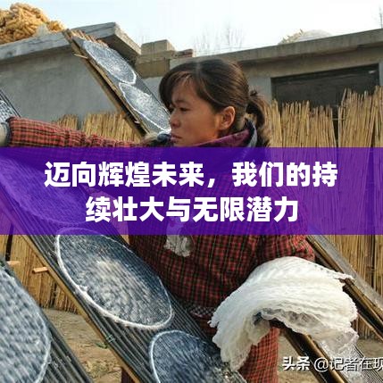 迈向辉煌未来，我们的持续壮大与无限潜力