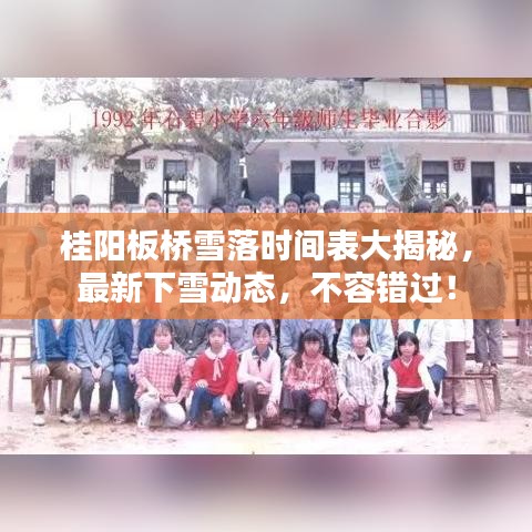 桂阳板桥雪落时间表大揭秘，最新下雪动态，不容错过！
