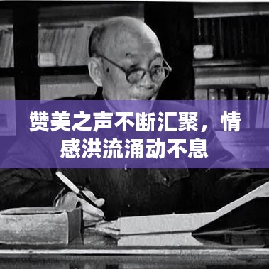 2025年5月12日