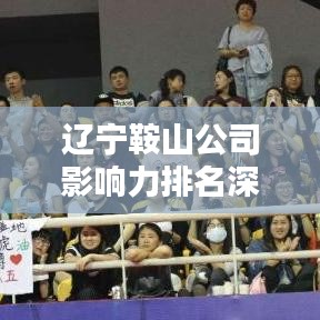 辽宁鞍山公司影响力排名深度解析