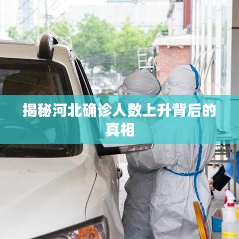 揭秘河北确诊人数上升背后的真相
