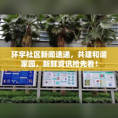环宇社区新闻速递，共建和谐家园，新鲜资讯抢先看！