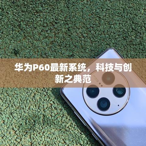 华为P60最新系统，科技与创新之典范