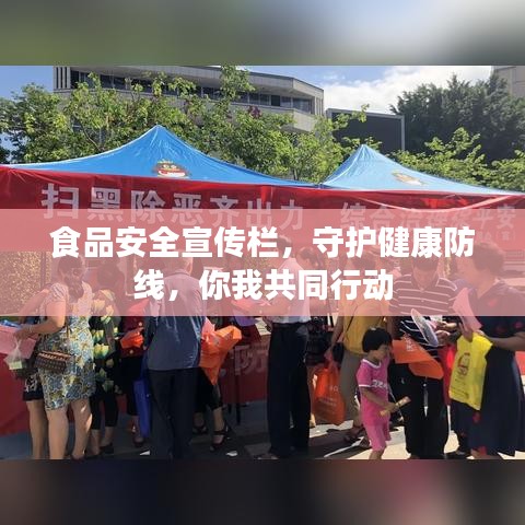 食品安全宣传栏，守护健康防线，你我共同行动