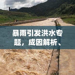 暴雨引发洪水专题，成因解析、影响评估与应对策略