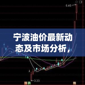 宁波油价最新动态及市场分析，今日关注焦点