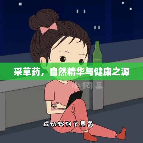 采草药，自然精华与健康之源