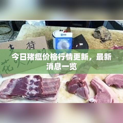 今日猪瘟价格行情更新，最新消息一览