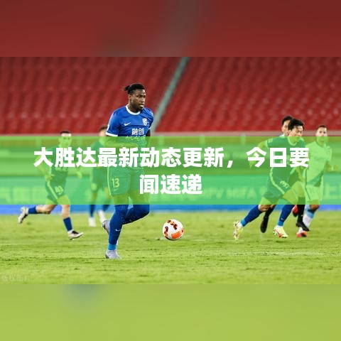 大胜达最新动态更新，今日要闻速递