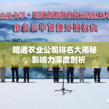 昭通农业公司排名大揭秘，影响力深度剖析