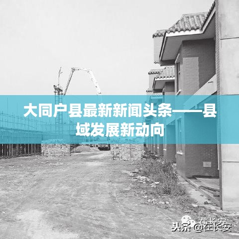 大同户县最新新闻头条——县域发展新动向