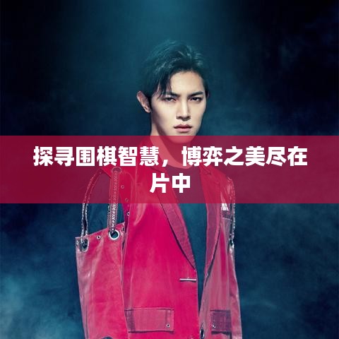 探寻围棋智慧，博弈之美尽在片中