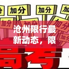 沧州限行最新动态，限行号查询指南及政策解析