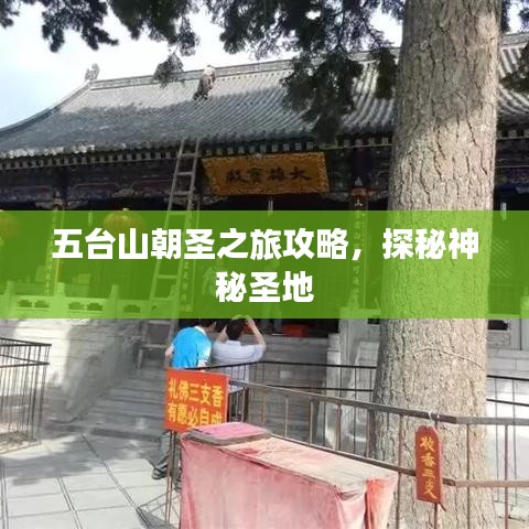 五台山朝圣之旅攻略，探秘神秘圣地