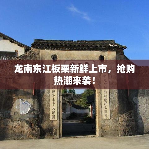 龙南东江板栗新鲜上市，抢购热潮来袭！