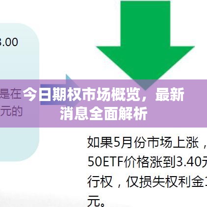 今日期权市场概览，最新消息全面解析