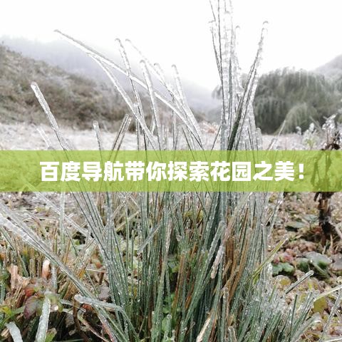 关于我们 第11页