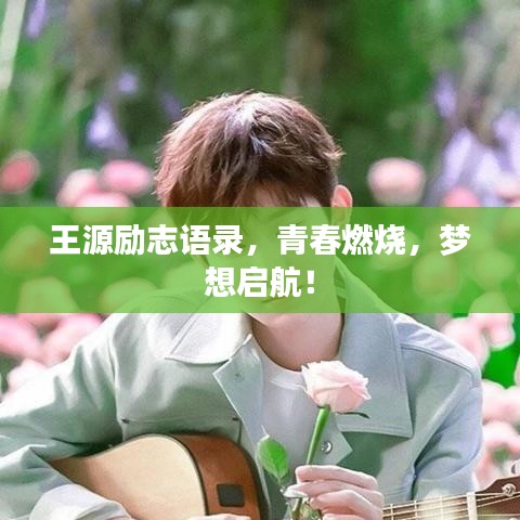 十全十美
