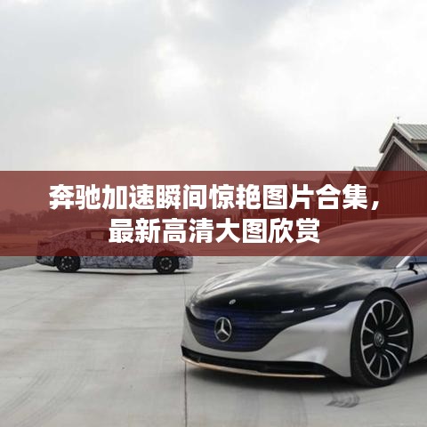 风华绝代