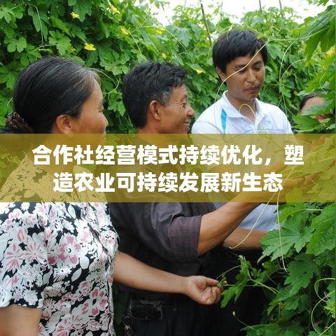 合作社经营模式持续优化，塑造农业可持续发展新生态