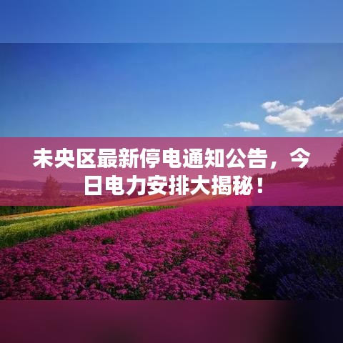 户外装备 第8页