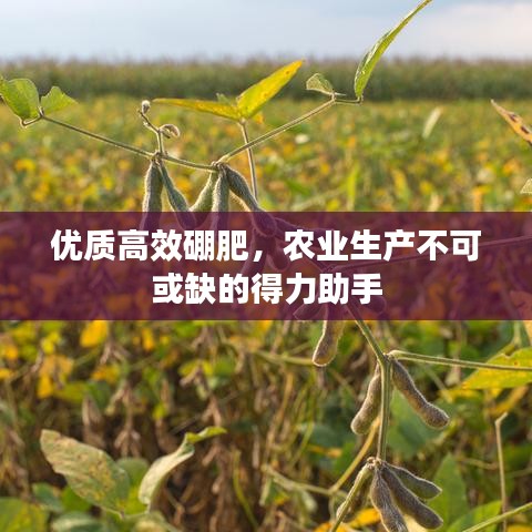 优质高效硼肥，农业生产不可或缺的得力助手
