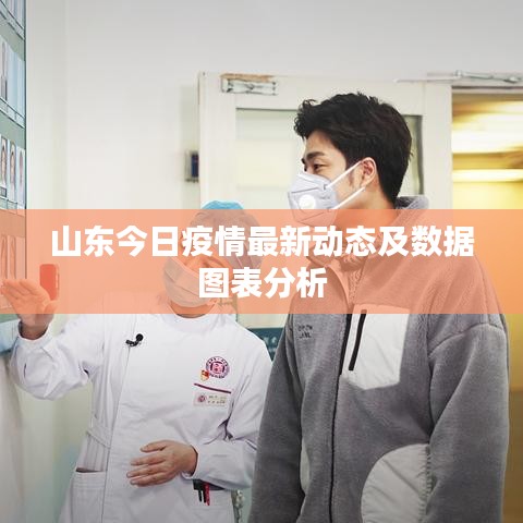 山东今日疫情最新动态及数据图表分析
