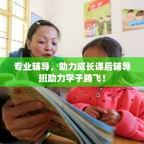 专业辅导，助力成长课后辅导班助力学子腾飞！