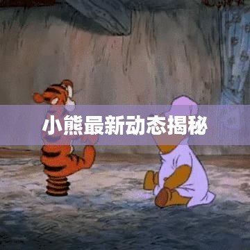 小熊最新动态揭秘