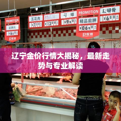 辽宁金价行情大揭秘，最新走势与专业解读