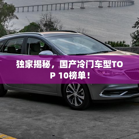 独家揭秘，国产冷门车型TOP 10榜单！