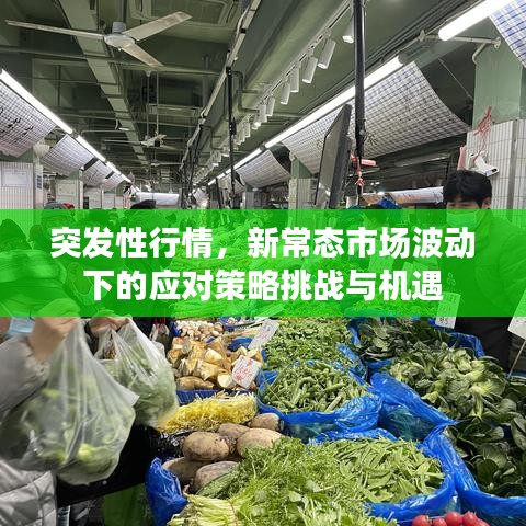 突发性行情，新常态市场波动下的应对策略挑战与机遇