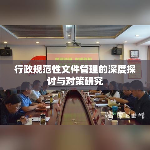 行政规范性文件管理的深度探讨与对策研究