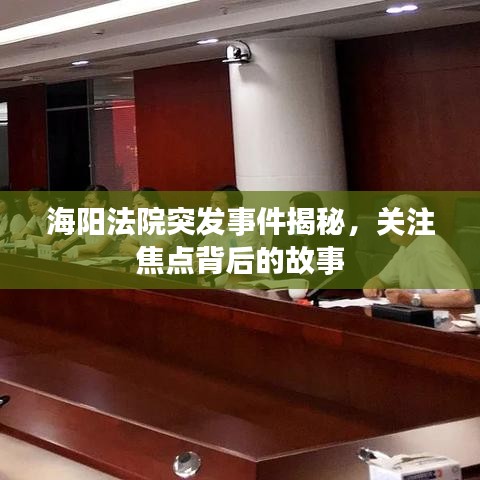 海阳法院突发事件揭秘，关注焦点背后的故事