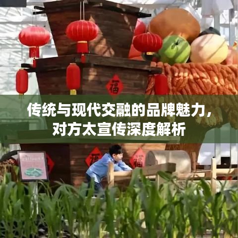 传统与现代交融的品牌魅力，对方太宣传深度解析